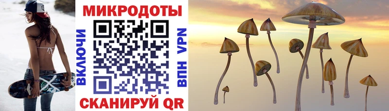 где можно купить Грязи Галлюциногенные грибы GOLDEN TEACHER