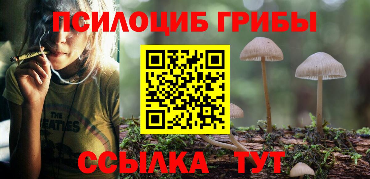 Псилоцибиновые грибы Psilocybine cubensis  Вход с VPN  Грязи  Псилоцибиновые грибы Magic Shrooms 